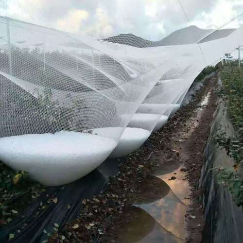 Anti Hail Net